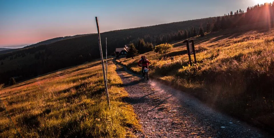 Motociclista numa pista de gravilha entre prados e floresta ao pôr do sol